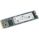 Amazon | 東芝 KSG60ZMV256G 256GB M.2 2280 SATA 6.0 GB/S SSD ソリッドステートドライブ ...