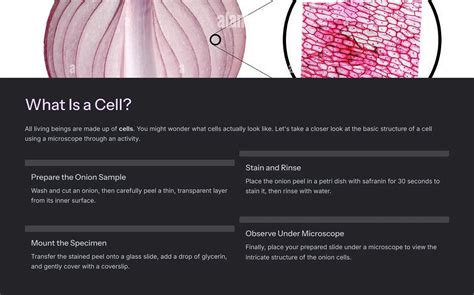 The Invisible Living World Beyond Our Naked Eye Chapter 2 Pdf 8th Science Curiosity By K