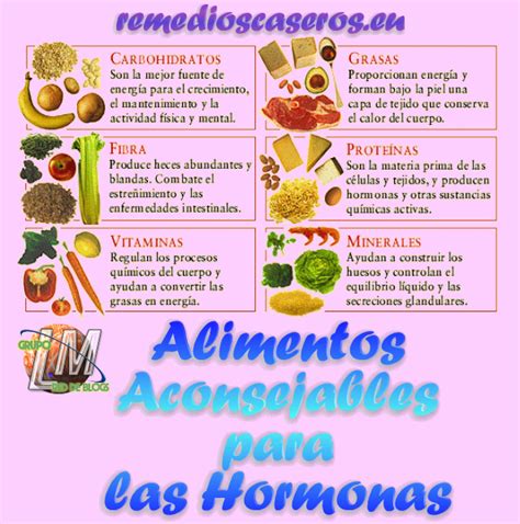 Alimentos Para Equilibrar Las Hormonas