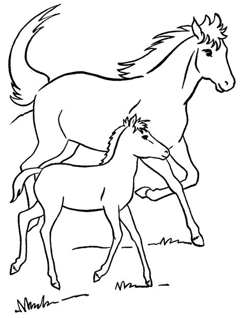 Desenhos Para Pintar Cavalo - 9