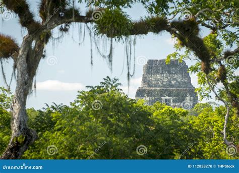 Tikal Mayan Jungle Ruins Stock Photo Image Of Religion 112838270
