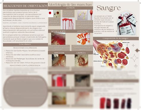 SOLUTION Sangre Quimica Forense Studypool