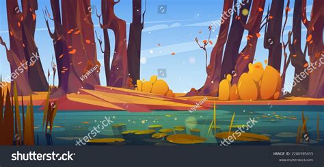 Swamp Quagmire Autumn Over 11 Royalty Free Licensable Stock