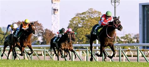 【東スポ杯2歳s】コントレイルが大レコードで5馬身差の圧勝競馬・レースデイリースポーツ Online