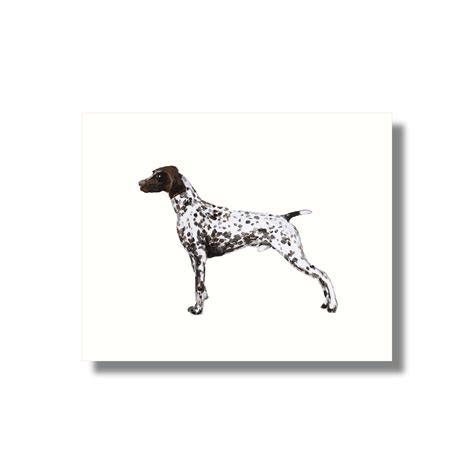 german shorthaired pointer clipart #4033989 | Clipart Library