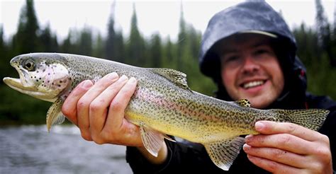 Alaska Fly In Fishing Fairbanks - Unique Fish Photo