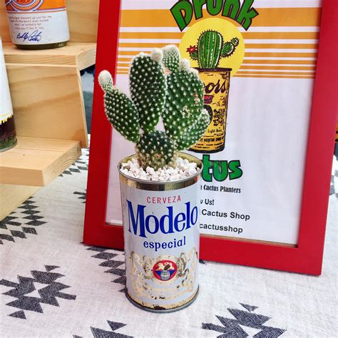 The Drunk Cactus Shop Home