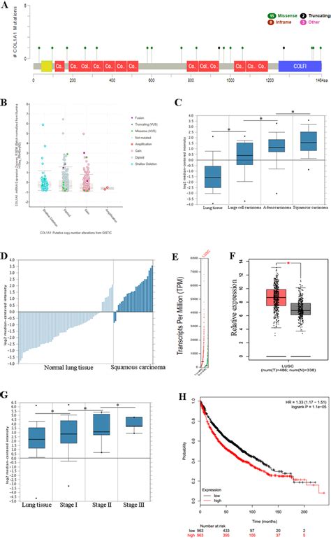 Col A Is Associated With Lscc Previous Experiments Have Identified