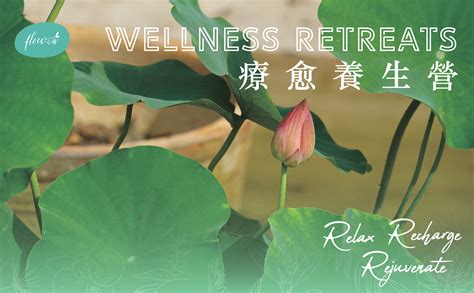 Wellness Retreats – Flow Farm