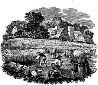 New England Colonies Economic Activities