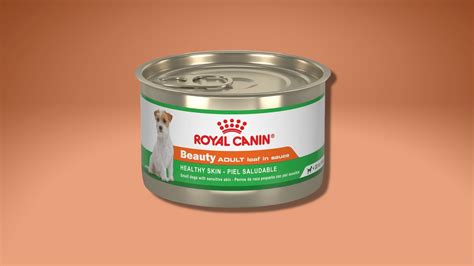 10 Best Dog Food Brands for Every Pup - Ask.com