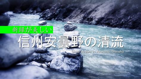 【環境音・asmr】信州安曇野の清流／川のせせらぎ音と鳥のさえずり3時間（癒し）疲れた心身の回復・リラックス効果・勉強中や作業用、目覚めの朝に