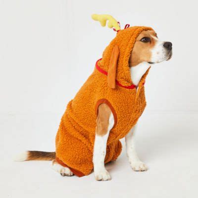 Grinch Max Dog Pajama, Color: Brown - JCPenney | Dog pajamas, Pet clothes, Dogs