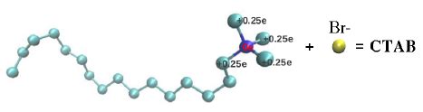 figure  model   ctab surfactant  scientific diagram