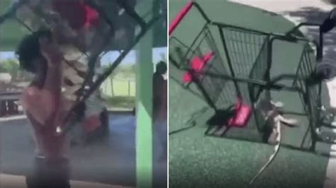 Horrific Video Shows Teenagers Torturing Iguana To Death With Shopping