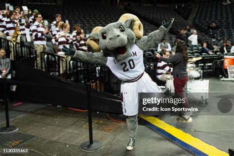 Fordham Mascot Photos and Premium High Res Pictures - Getty Images