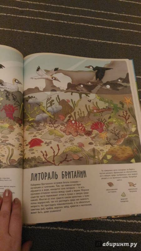 Книга: Удивительное путешествие в мир животных. Кругосветная поисковая ...