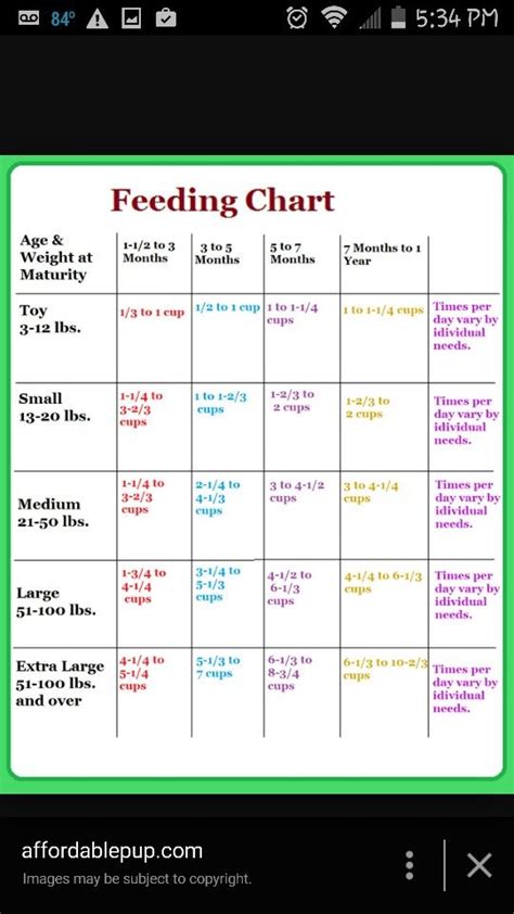 Dog Feeding Schedule Chart