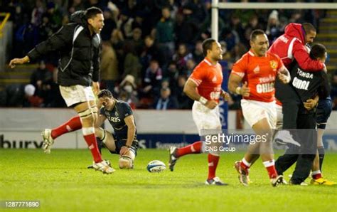 The Tongan Bear Photos And Premium High Res Pictures Getty Images