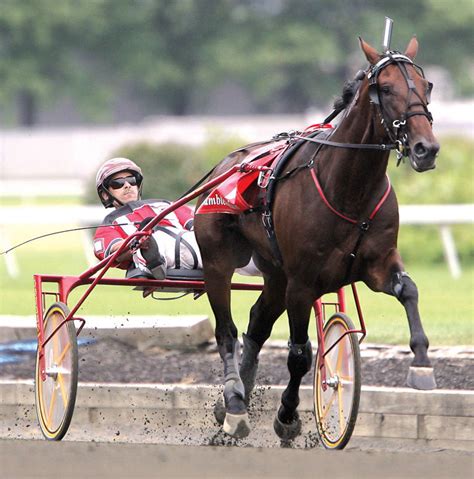 Record 77m Wagered As Meadowlands Racetrack Hosted 41st Breeders Crown
