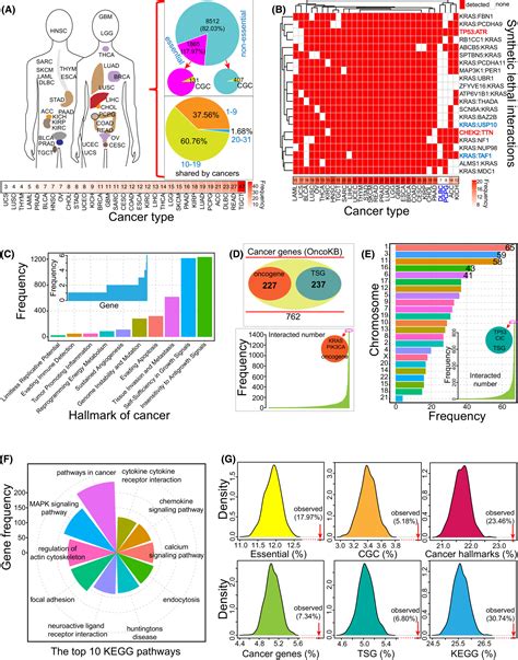 Systematic Analysis Of Cancerspecific Synthetic Lethal Interactions