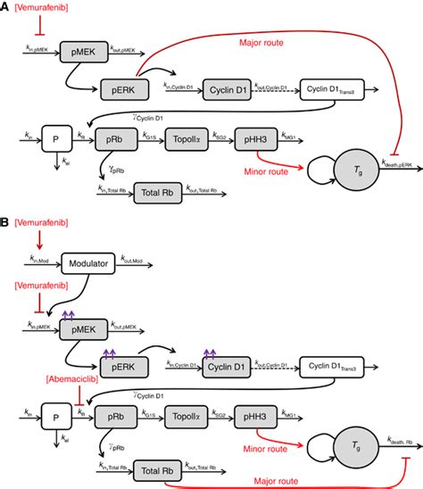 Schematic Representation Of The Integrated Semimechanistic Pk Pd Model