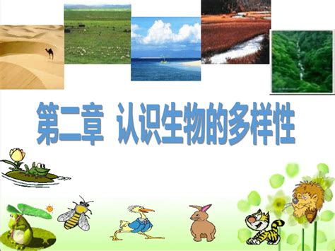 人教版八年级生物 上册 第六单元 第二章 认识生物的多样性 课件（共70张ppt） 21世纪教育网