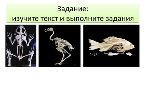 Позвоночные и беспозвоночные животные (7 класс) - презентация онлайн