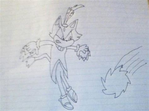 blaze vs sonic by MegaCrashtheHedgehog on DeviantArt