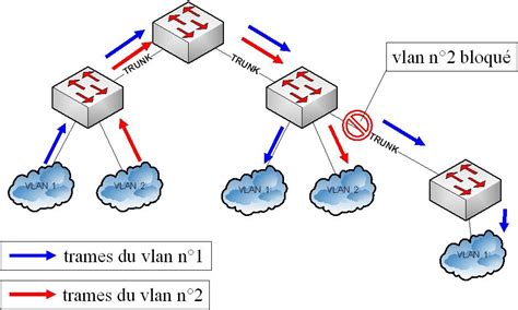 Vtp Pruning R Ussir Son Ccna