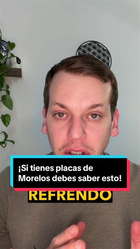 ¿placas De Morelos En Cdmx O Edomex Gestoría Vehicular Goparken