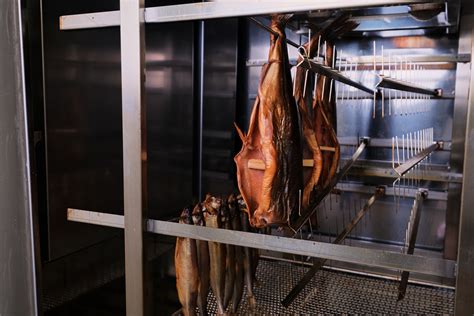 Выбор между коптильней для рыбы, сыра или мяса | Покупайте российские ...