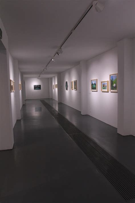 HBP III Tropical Symptoms - Hive Center for Contemporary Art 蜂巢当代艺术中心