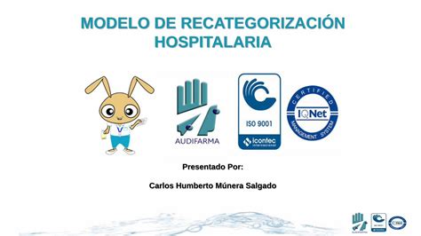 Pdf Modelo De Recategorizaci N Hospitalaria Dokumen Tips