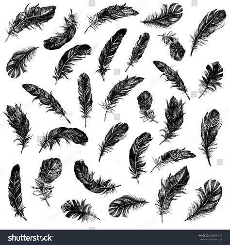 Vector Black White Feather Pattern Stock Vector 596076674 - Shutterstock