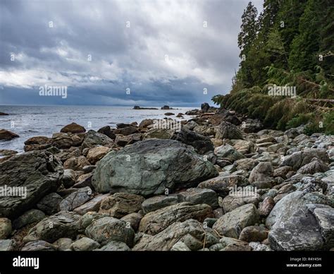 Boulders Along A Shoreline On The West Coast Trail On Vancouver Island