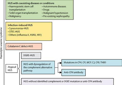 Haemolytic uraemic syndrome - The Lancet