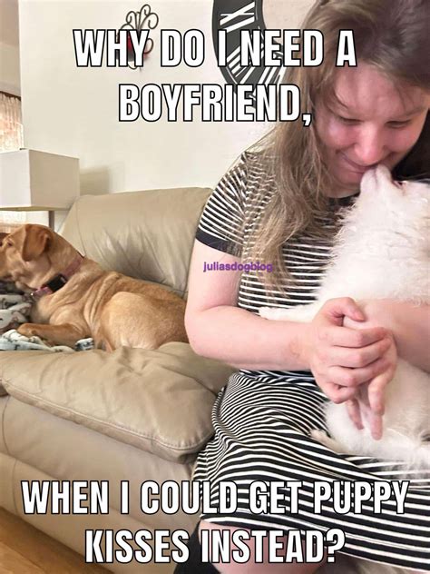 Why Do I Need a Boyfriend… – Julia's Dog Blog