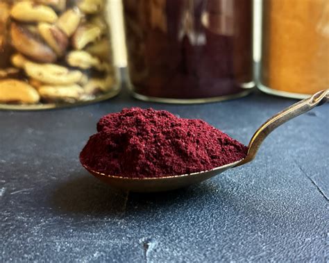 Organic Blueberry Berry Powder Biopapa