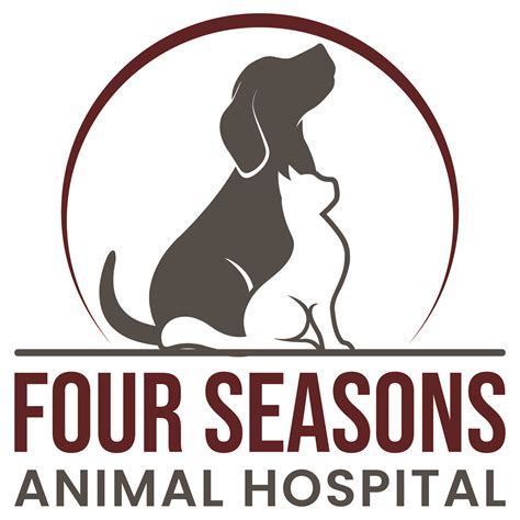 Rabbit Rescues: A Guide to Proper Rabbit Care | Four Seasons Animal