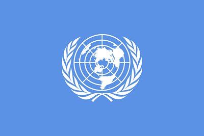united nations logo   symbolize  olive branch