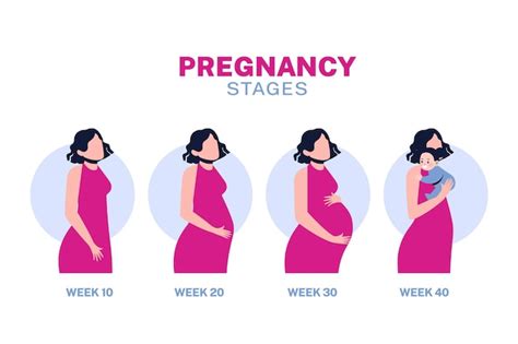 How To Manifest Pregnancy Time Puter