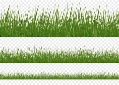 Grass Texture Clip Art Stock Photos, Pictures & Royalty-Free Images ...