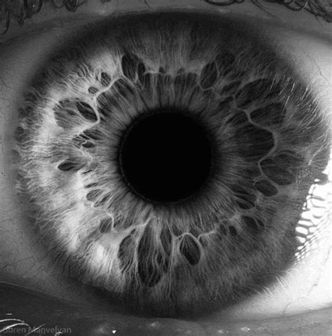 Eyeball  Find And Share On Giphy
