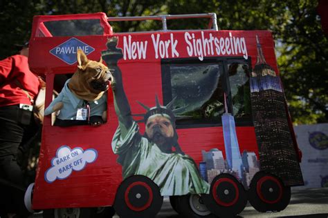 costumes   annual tompkins square park halloween dog parade curbed ny