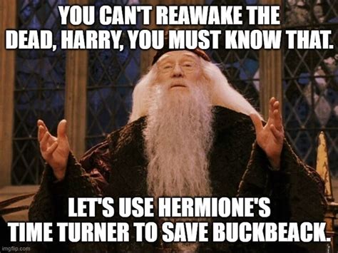 Dumbledore Memes Fandom