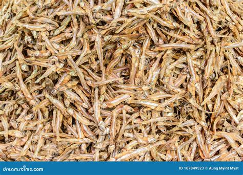 photo  small dried fish stock image image  bream