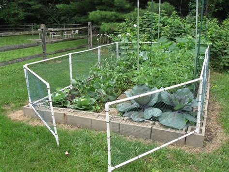 pvc pipe garden fence ideas    sharonsable