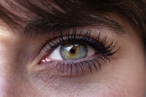 cancerous lump  eyelid