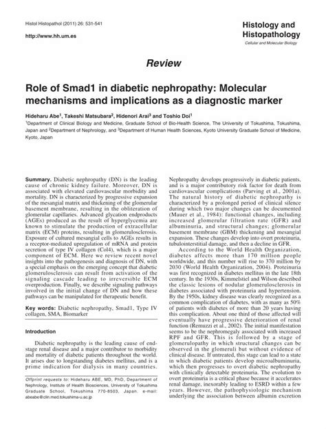 PDF Role Of Smad1 In Diabetic Nephropathy Molecular Mechanisms